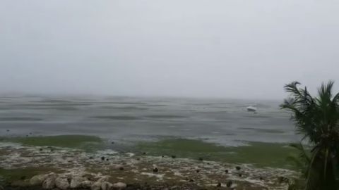 Impactantes imágenes de Key Largo, en Florida