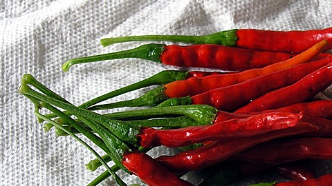 Chiles de árbol.