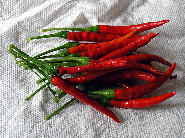 Chiles de árbol.