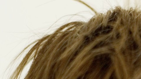 En EEUU se venden 400 millones de tazas de café al día.