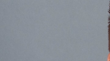 Daniel Bisogno, presentador de Ventaneando, estaba de vacaciones y le tocó vivir el huracán Irma