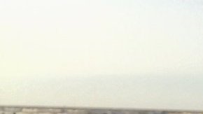 La extraña criatura con sus grandes y afilados dientes, fue encontrada en una playa de Texas.