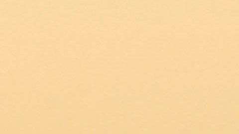 El humo de incendios forestales contiene grandes
cantidades de partículas pequeñas altamente peligrosas.