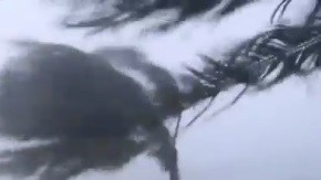 Sigue la tensión en el Caribe por el fenómeno meteorológico