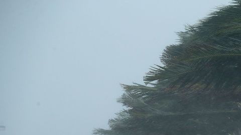 El huracán Irma causó severos daños en Florida.