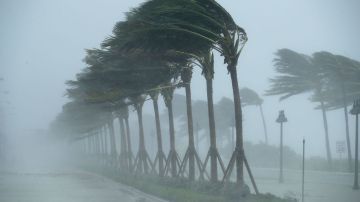 El huracán Irma causó severos daños en Florida.