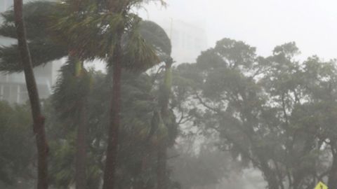 Irma pegó con fuerza a Florida en 2017.
