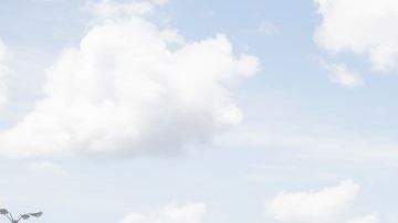 Largas filas de autos por evacuaciones en Florida