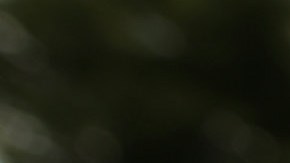 Canciller y su pedido al presidente Trump.