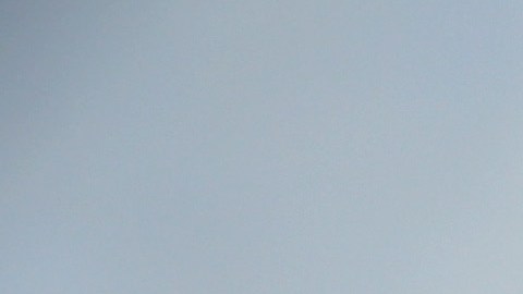 José Mata convenció a los agentes de entregarse con la condición de que no arrestaran a su familia