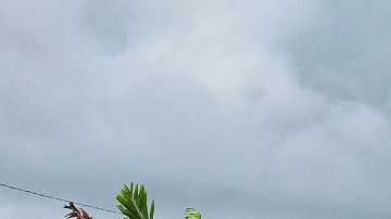 Turistas y residentes de Florida están bajo avisos de evacuación el huracán Irma.