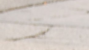 Ya los precios se han disparado en un 10%