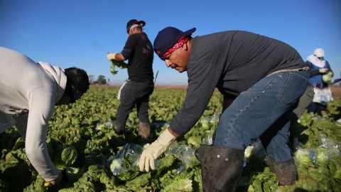 Los trabajadores del campo fueron una de las poblaciones en el condado de San Joaquín en las que se enfocaron las campañas de vacunación de covid. (Getty Images)