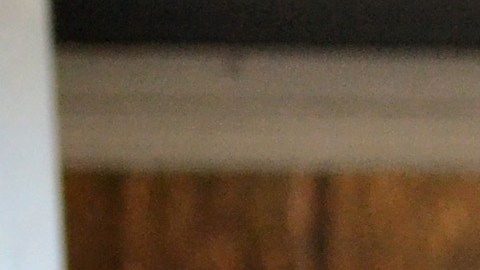 Demandan al gobierno federal porque ICE ha entrado a las casas de los indocumentados sin orden judicial, orden de arresto o diciendo mentiras