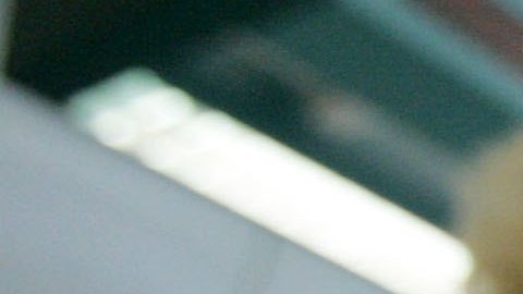 La propuesta del congresista republicano Lee Zeldin busca quitar la ciudadanía a aquellos que formen parte de pandillas