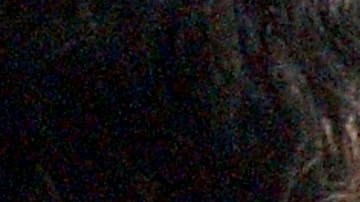 Existe el temor de que los pasaportes fraudulentos puedan venderse a terroristas radicales