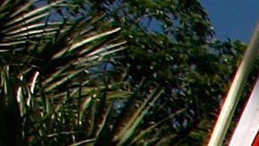 Las encuentas muestran que los latinos piensan que las cosas están peor de lo que esperaban.