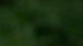 Donald Trump, presidente de Estados Unidos