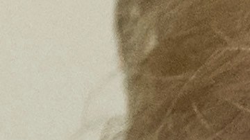 Trump siempre negó algún contacto directo con Rusia