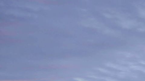 Fin de la humanidad.