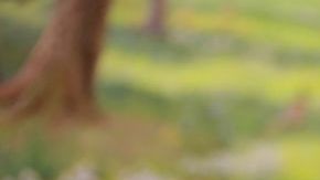 Kim Jong-Un, líder norcoreano. Getty Images