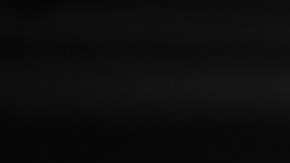 Frank de Boer fue destituido del Crystal Palace, tras cuatro derrotas y sin goles