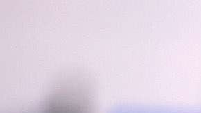 Por problemas de la oficina de correos las aplicaciones llegaron tarde por lo tanto no fueron aceptadas por USCIS