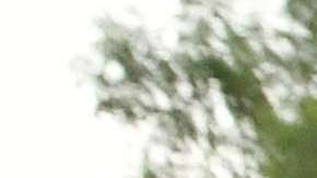 Los jóvenes DACA han salido a las calles para pedir que se mantenga el programa.