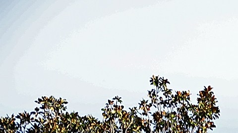 El presidente Trump lideró la ceremonia del 9/11 en la Casa Blanca.