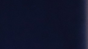 La portavoz de la Casa Blanca habló de