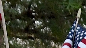 Activistas luchan por la protección de "Dreamers".