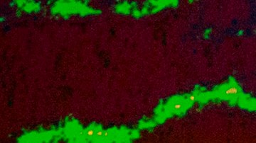 Trump limitó a 50,000 el número de refugiados que pueden entrar anualmente en EEUU