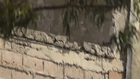 Se reportan varios heridos en la Ciudad de México.