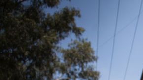 Todos se suman a la tarea de rescatar víctimas con vida en México.