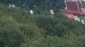 Colegio Enrique Rébsamen