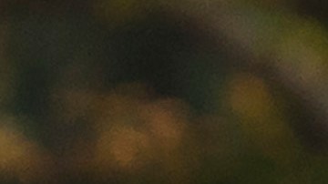 El presidente Trump defiende su reforma tributaria