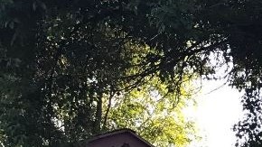 Las pertenencias de las personas desamparadas se han ido acumulando.