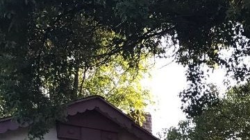 Las pertenencias de las personas desamparadas se han ido acumulando.