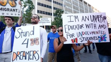 Trump no asume ni culpas ni responsabilidades