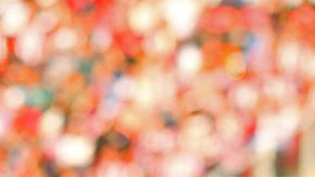 Chivas de Guadalajara recibe al Atlas, en duelo de octavos de final de la Copa MX