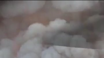 Las partículas que componen el humo son peligrosas para los humanos