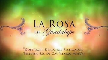 Captura del programa "La rosa de Guadalupe"