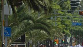 Mujeres marchan para exigir justicia ante feminicidios