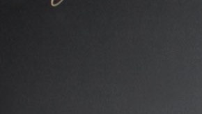 Floyd Mayweather Jr.