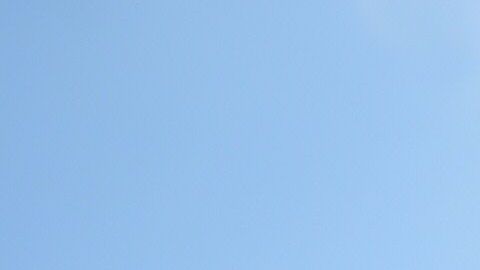 Los famosos reaccionaron al terremoto en México