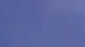 La presentadora de espectáculos estuvo casada con Memo del Bosque