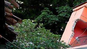 Oaxaca es el estado más afectado por el sismo.