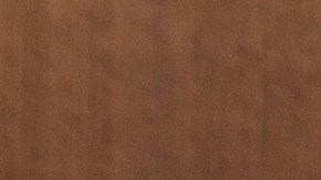 paruresis_2_shutterstock_228313486