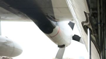 Trump describió los esfuerzos de las agencias federales para ayudar a los millones de damnificados en Puerto Rico.