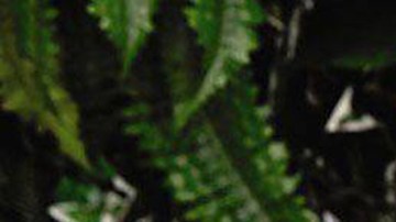 Sofia Vergara es la actriz mejor pagada en Estados Unidos.